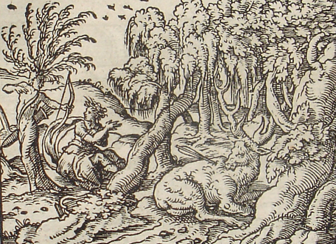 ut saevo morientem vulnere vidit, 